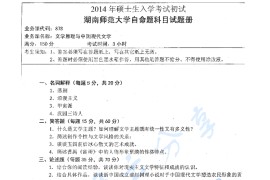 2014年湖南师范大学878文学原理与中国现代文学考研真题