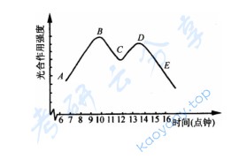 2007年中国科学院大学848植物生理学考研真题