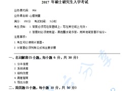 2017年湖南师范大学956心理测量考研真题