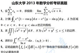 2013年山东大学651数学分析考研真题