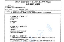 2020年湖南师范大学878文学原理与中国现代文学考研真题