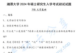 2024年湘潭大学710文学理论考研真题