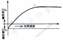 2010年中国科学院大学848植物生理学考研真题